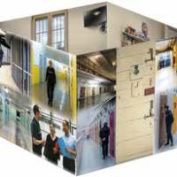 Présentation d’une cellule reconstituée